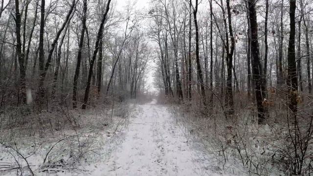 Народный праздник "день полукорма" 29 января. Вериги Петра. Народные традиции и приметы. смотреть онлайн