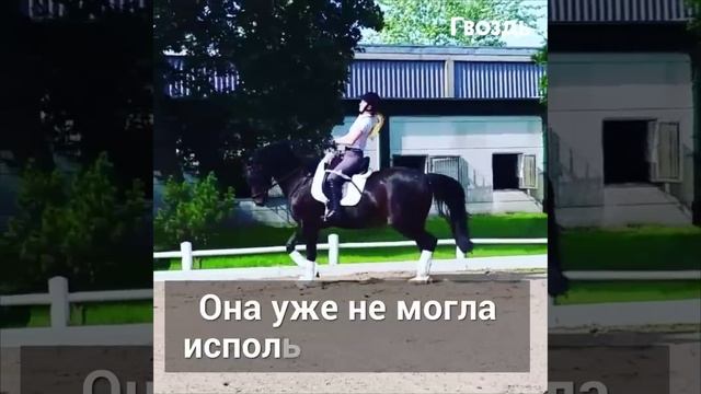 Увидев эту девушку на лошади, зрители задержали дыхание! Как она это делает? смотреть онлайн
