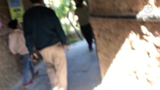 Chhatbir Zoo Chandigarh ma Ghumne Aya Part 1 смотреть онлайн