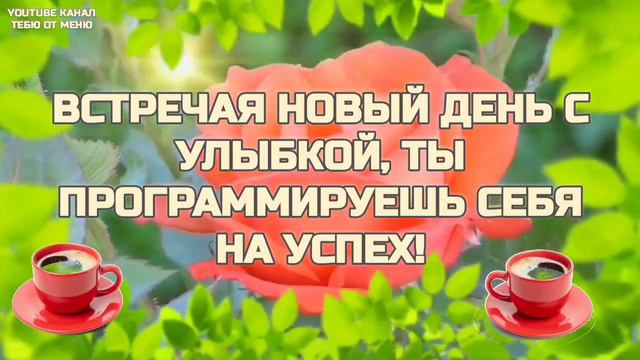 Доброго Солнечного Утра ☕️ С Добрым Утречком Хорошего Дня Открытка! #сдобрымутром #доброеутро смотреть онлайн