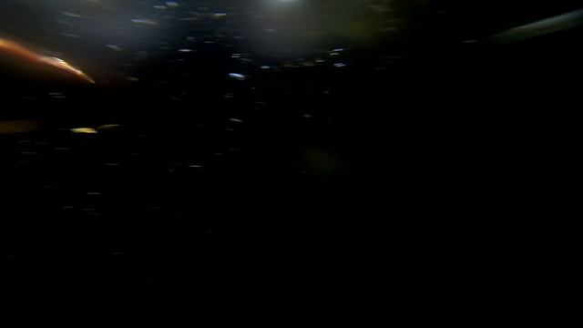 Nereis Sea Worm смотреть онлайн