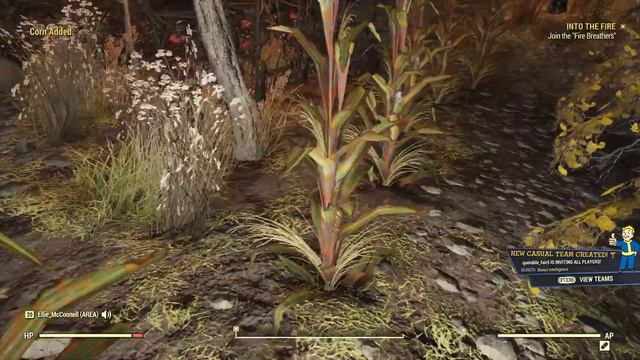 A New Season?! Same Deaths! - Fallout 76 #2-A (server crashed) 🔞 Only! смотреть онлайн