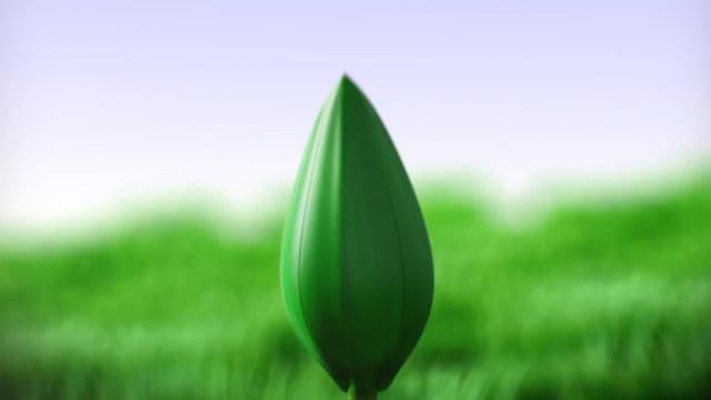 ПОЗДРАВЛЕНИЕ С 8 МАРТА! смотреть онлайн