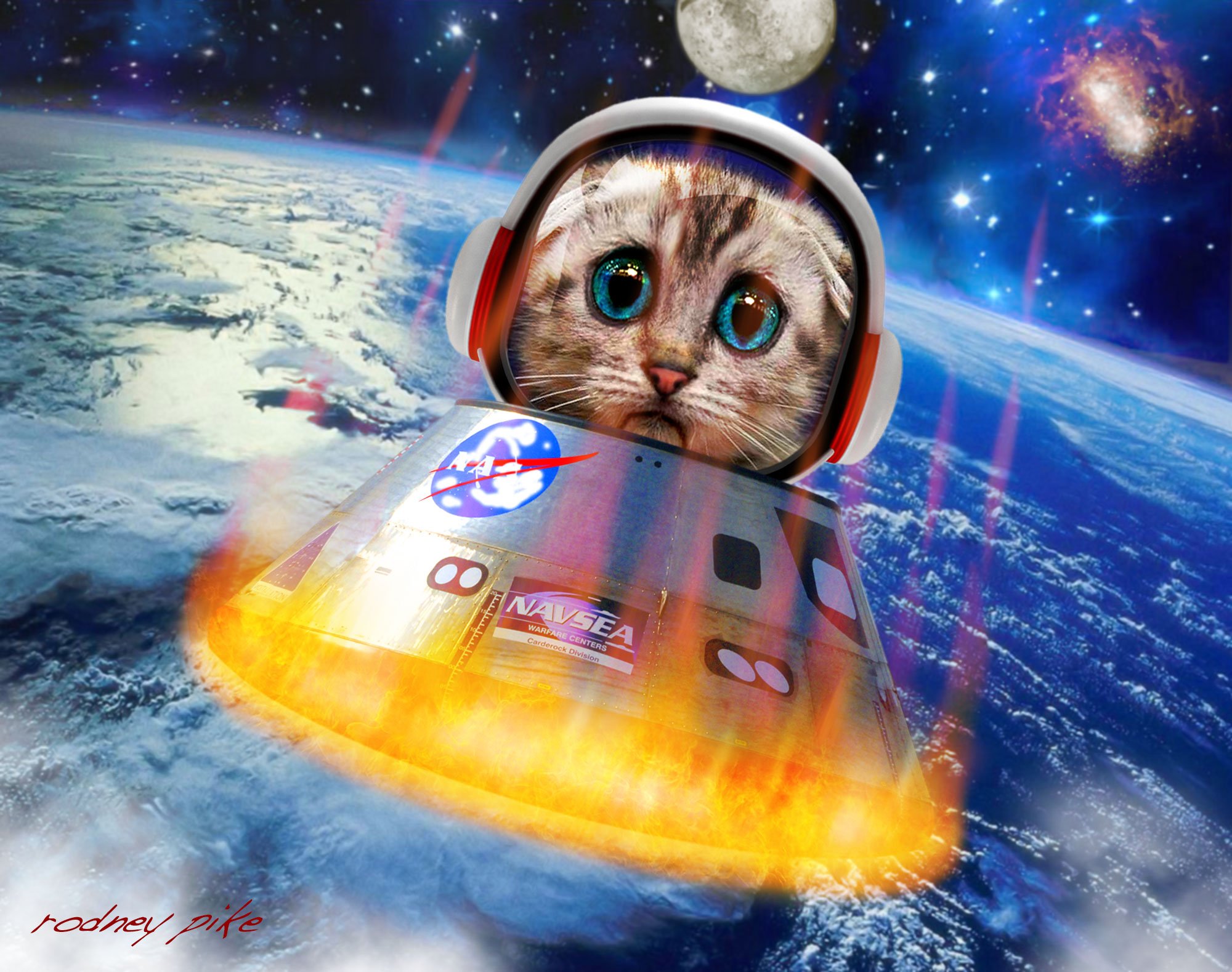 КУКИ В КОСМОСЕ 2 - Путь к падению