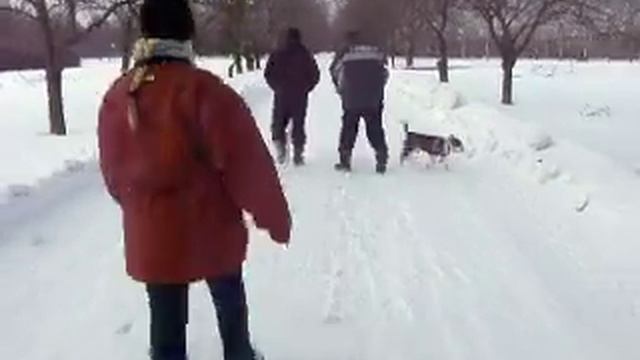 СКАЙ.Метис лайки смотреть онлайн