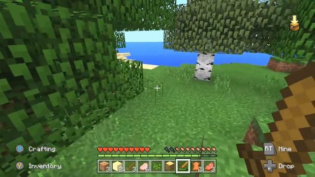 How To Make Minecraft Look BETTER (PE, PS4/3, Xbox One/360, Switch, PC) смотреть онлайн
