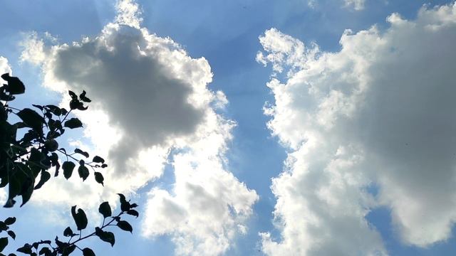 Ошибки, которые я допускала в браке как жена смотреть онлайн