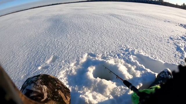 Это провал! Бывает и такое на рыбалке в глухозимье! Трудовая Рыбалка! смотреть онлайн