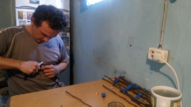 002 Зимняя прививка улучшеной копулировкой и прививочным секатором. смотреть онлайн