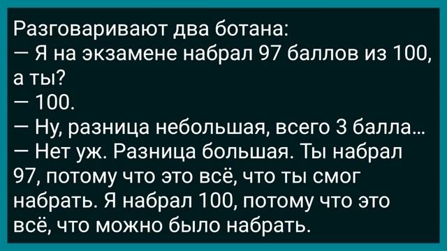 Печник Иван Женился на Богатой Старухе! Первая Брачная Ночь! Сборник Свежих Анекдотов! Юмор! смотреть онлайн