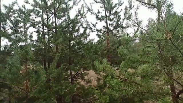 28 октября народный праздник ЕВФИМИЙ ОСЕННИЙ. что нельзя делать. народные приметы и поверья смотреть онлайн