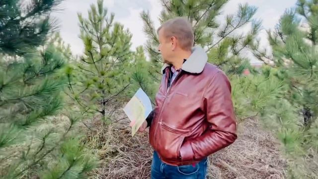 Пешком по саванне , мы ищем львов чтобы ЗАВЕСТИ НА ЗИМОВКУ! смотреть онлайн