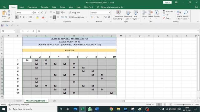 #CLASS-12 #APPLIED MATHEMATICS# EXCEL ACTIVITY- 12 COUNT FUNCTION смотреть онлайн