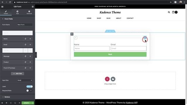 Elementor Forms Tutorial - Learn How To Make Advanced Forms & Lead Capture Forms смотреть онлайн
