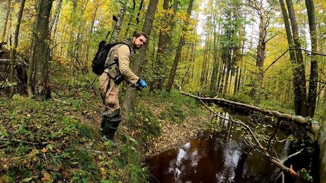 Рыбалка на микроречке в Ленинградской области.Ищем форель#fishing #рыбалкаспб #микроречка#форель смотреть онлайн