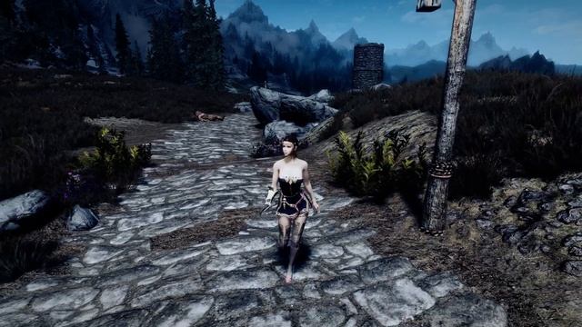 Outfit  Arethel From BDO HDT  PE Skyrim LE For CBBE Body (part 2)
