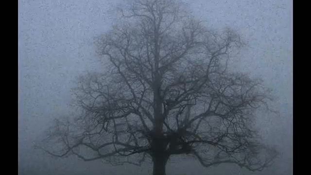 Scatterbrain - Mexican Jesus (Dark Nebula Rmx) смотреть онлайн