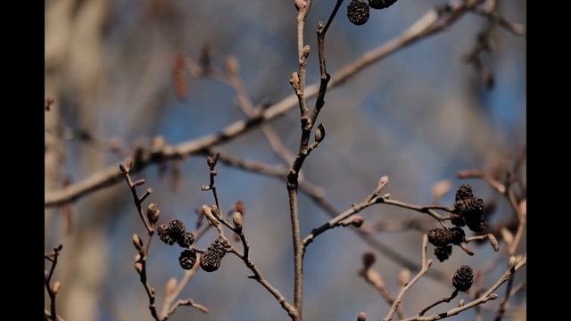 2021-ый май. смотреть онлайн