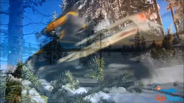 Отдых в Карелии на снегоходах смотреть онлайн