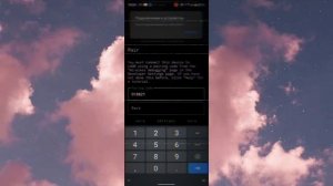 способ попасть в recovery на realme C21Y rmx3263 без пк