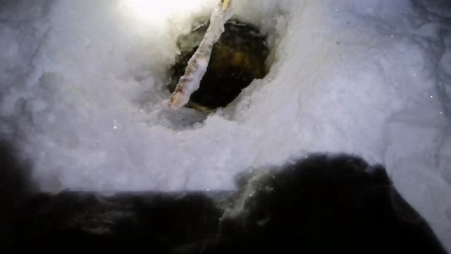 рыбалка на донки. Налим. смотреть онлайн
