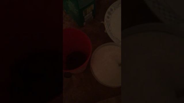 Что делать если ты не спал всю ночь? Или как взбодриться:) смотреть онлайн