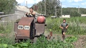 Прополка тыквы в деревне 19.07.2017..
