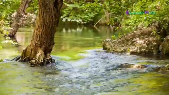 Flauta Indígena Y Sonidos De La Lluvia Para Calmar Y Relajar La Mente Y Anima 2 Horas