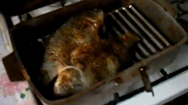 Копчение рыбы дома смотреть онлайн