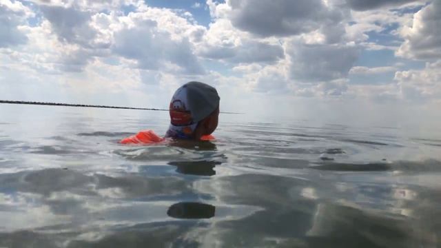 Coлёнoe озepo Шaлkap в Kaзaхcтaнe 2018 смотреть онлайн