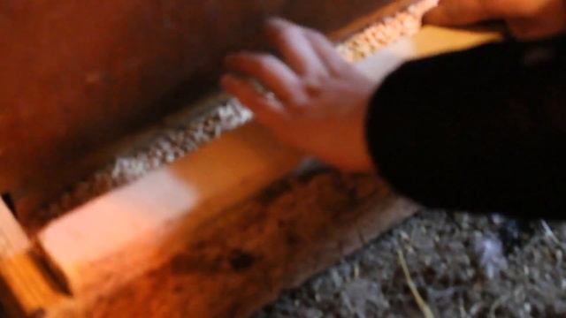 Переделка кормушки для кур смотреть онлайн