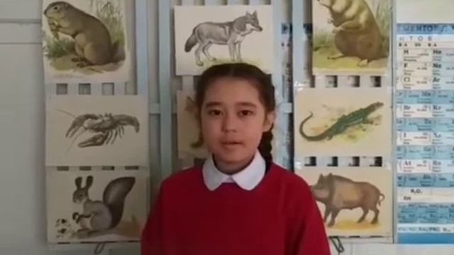 Всемирный день дикой природы. смотреть онлайн