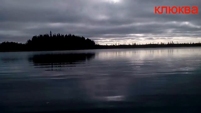 Ягоды севера/Брусника/Голубика/Клюква. смотреть онлайн