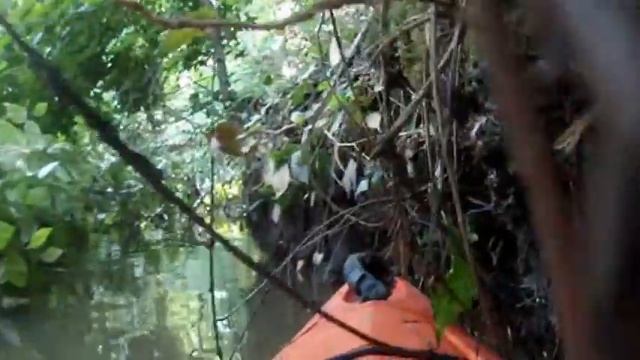 Kayak expedition to the head of Mill Creek смотреть онлайн