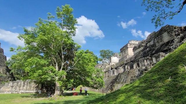 A Gorgeous Day Visiting The Tikal National Park And Mayan City And Temple Ruins, Guatemala