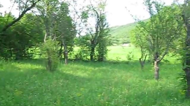 Zajecar-Donja bela reka смотреть онлайн