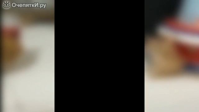 10 минут смеха про котов. смотреть онлайн
