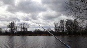 Крупный окунь  на джиг риг, ловля окуня на джиг-риг на спиннинг с берега