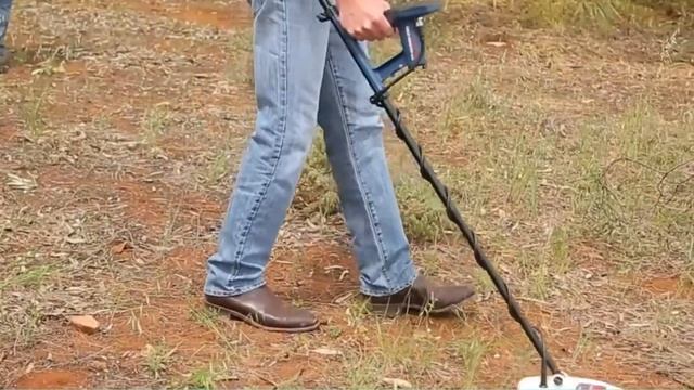 What's The Best Metal Detector For Gold?