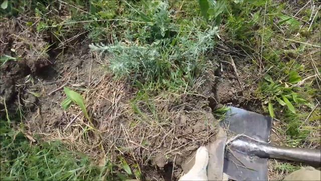 Надергал ТЯЖЕЛОГО железа с ФЕРМЫ | КОП МЕТАЛЛОЛОМА | ЧЕРНЫЙ МЕТАЛЛ смотреть онлайн