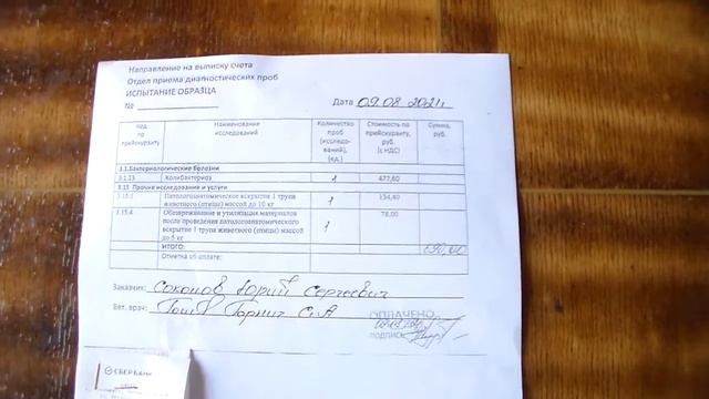 Цыплят Леггорн в лабораторию на посев часть 1 смотреть онлайн
