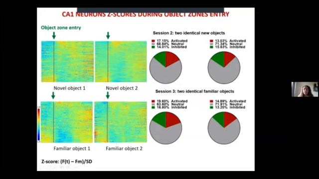 Neuronal encoding of object-type and object-place memories in mouse hippocampus and RSC смотреть онлайн