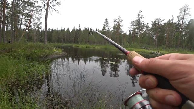 Ловля Хариуса в Карелии. Таежная река. День 3-5. смотреть онлайн