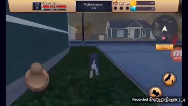 Симулятор кота- Жизнь животных |симулятор| смотреть онлайн