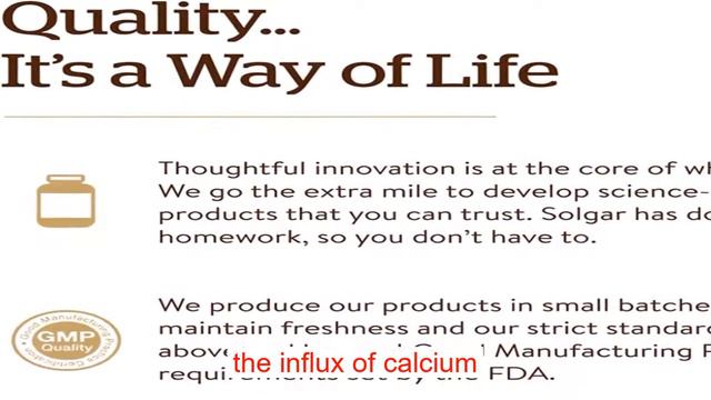 Solgar Magnesium Citrate 120 Tablets Pack Of 2