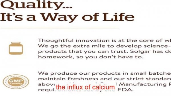 Solgar Magnesium Citrate 120 Tablets Pack of 2