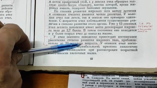 Долгоживущая пчела. Основы и принципы формирования. Ч. 1. ОСЕННЯЯ ПЧЕЛА!!! смотреть онлайн