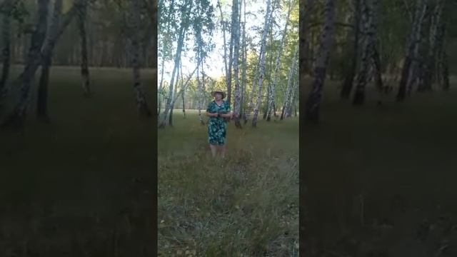 Вальс цветов смотреть онлайн