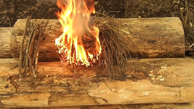 Fire lays with Patrick and Reuben смотреть онлайн