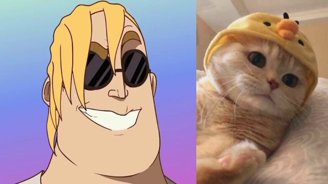 Твое домашнее животное это: смотреть онлайн